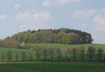 Dolní Hořice
