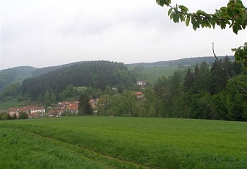Hvozd