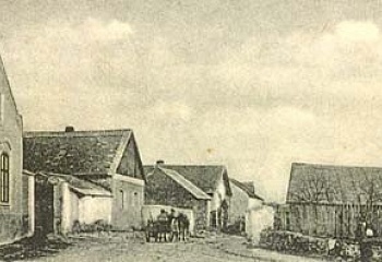 Bernardov