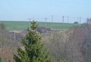 Dražice