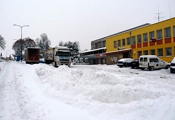 Dražice