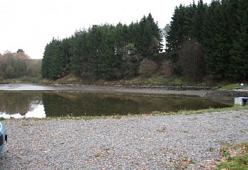 Dražice