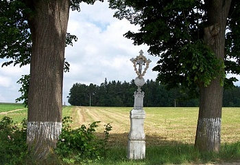 Píšť