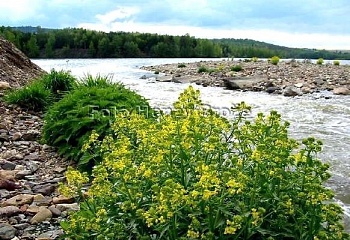 Ejpovice