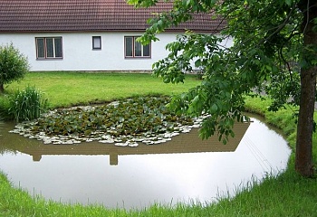 Vojslavice