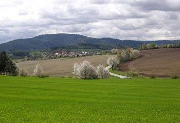 Lažiště