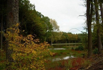 Tetčice