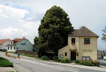 Tetčice