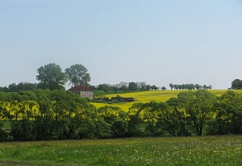 Drhovice