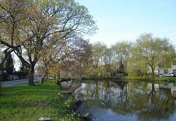 Petrovice I