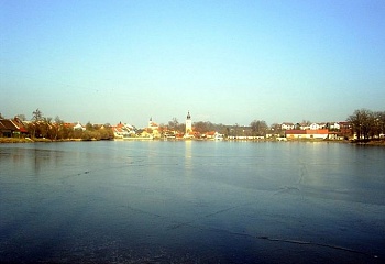 Netolice