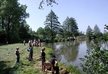 Jaroměřice nad Rokytnou