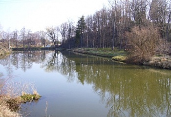 Kozlany