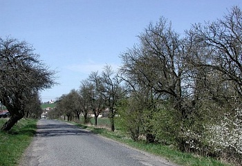 Loukovice