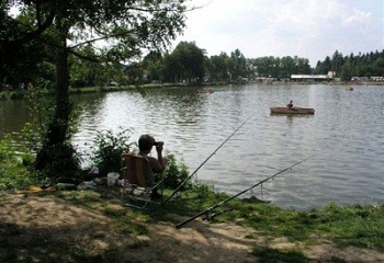 Suchý