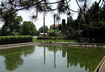 Slavošov