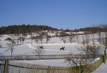 Okřešice