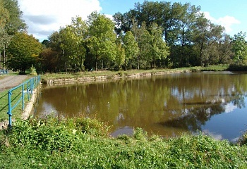 Opočno