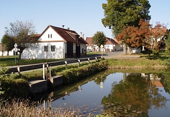 Kožlí