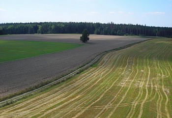 Krátošice