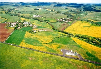Verušičky