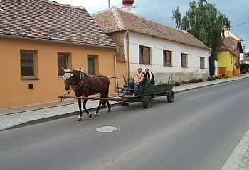 Tasovice