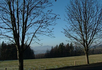 Dalešice