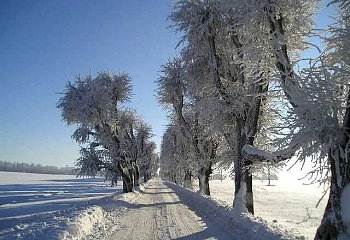 Radkov