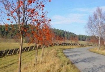 Pěčnov