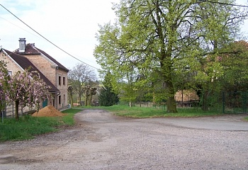 Veselice