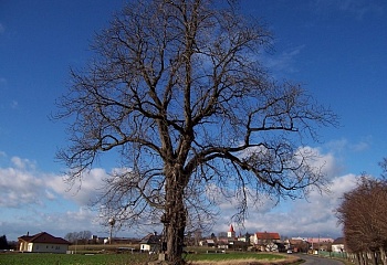 Zdětín
