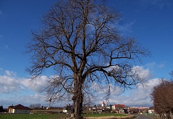 Zdětín