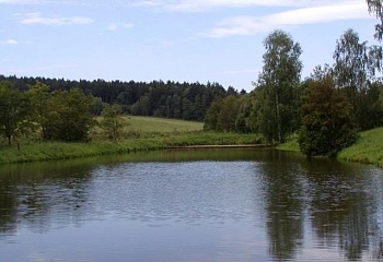 Pnětluky