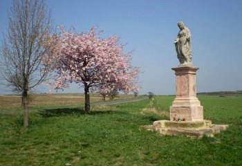 Nepomyšl