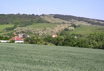 Očihov