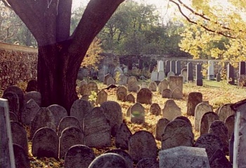 Vlachovo Březí