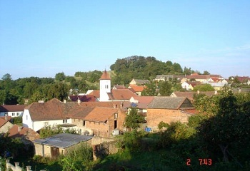 Žlutava