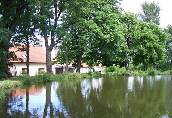 Žernovice