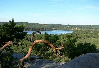 Branžež