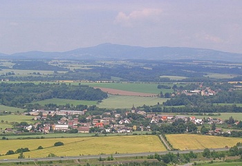 Březina