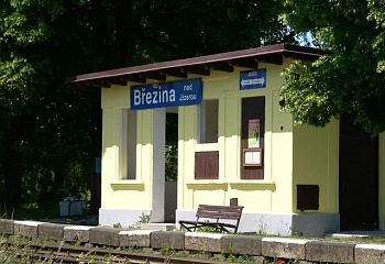 Březina