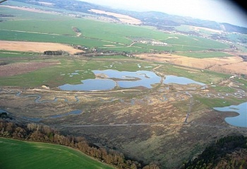 Žichlínek