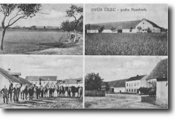 Čilec