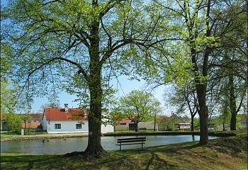 Chotěmice