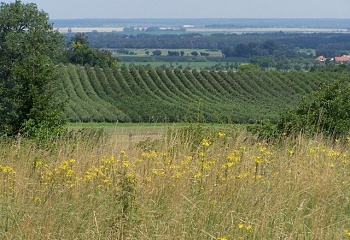 Chrást