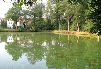 Katov