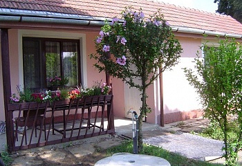 Babice