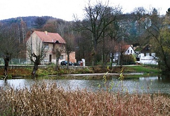Vinařice