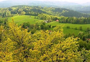 Krásná Lípa