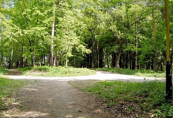 Zastávka